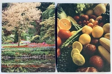 Lot (2) Vintage Ambassador & Springbok 500 Piece Jigsaw Puzzles Garden and Fruit