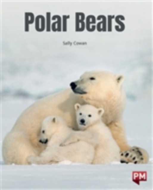 POLAR BEARS by Sally Cowan PAPERBACK - Image 2