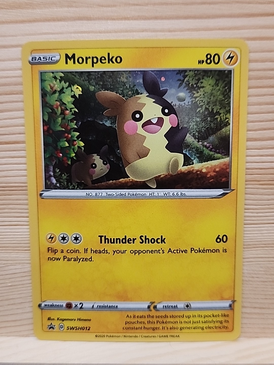 Pokémon TCG Morpeko Promo SWSH012 Holo Card NM Condition