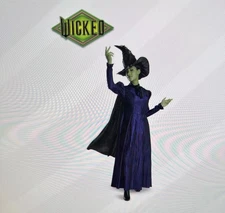 Disguise Women’s S (4-6) Elphaba Wicked Deluxe Adult Costume Set For Good Movie