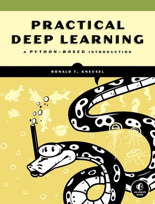 Ronald T. Kneusel | Practical Deep Learning | Taschenbuch | Englisch (2021)