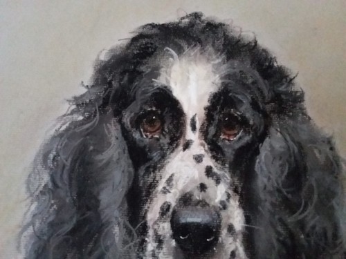 ENGLISH COCKER SPANIEL DOG ORIGINAL PASTEL ON BOARD by JULIE STOOKS 1988 - Picture 6 of 8