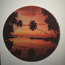 Vintage Retro 70s Island Sunset Palm Trees Iron On Tropical Heat Transfer