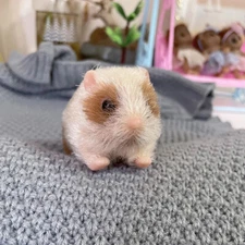 5inch Mini Realistic Silicone Hamsters Stretchy Fake Animals Silicone Baby Dolls