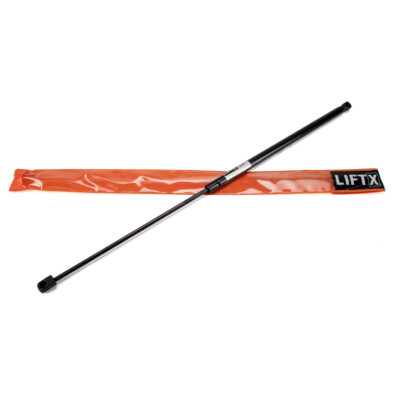 LIFTX Motorhaubendämpfer für AUDI A4 + AVANT B6 B7 SEAT EXEO 3R5 8E0823359A