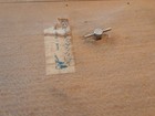 Bild 9 von 9