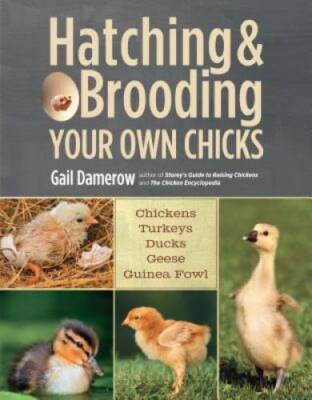 Hatching & Brooding Your Own Chicks: Chickens, Turkeys, Ducks, Geese, Gui - GOOD