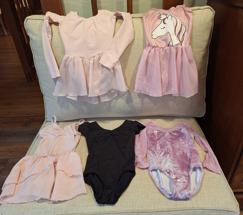 Five Dance Ballet Costumes Size 4 - 6 Leotards - Danskin, Bloch, Others
