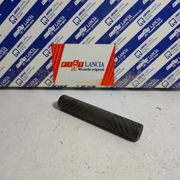 Originale Satellitenbox Differential TüR Fiat 241 TN 4158600-image