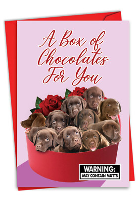 Funny Valentine's Day 5''x7'' Greeting Card w/ Envelope (1 Card) of Chocolates