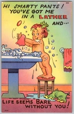 Vtg Postcard Tichnor Bros, Inc Comic Postcard Collection 1940s