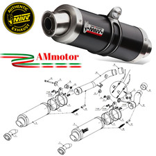 Mivv Kawasaki Z 1000 2008 08