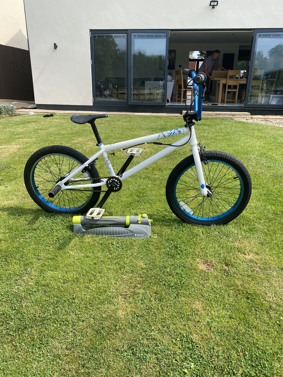 kuwahara exhibitionism for sale