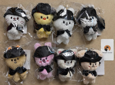 SKZOO マグネットキーリング Stray Kids SKZOO COSTUME MAGNET PLUSH KEYRING Official New | eBay