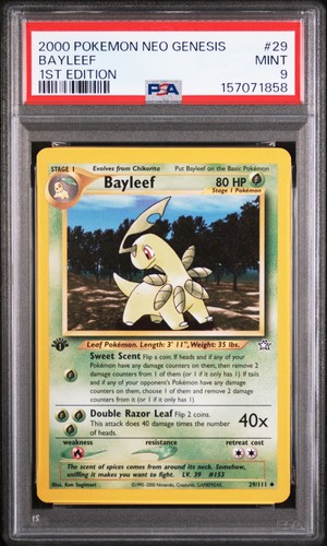 Bayleef (1st Edition) graded PSA 9 for sale on eBay