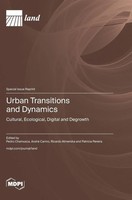 Urban Transitions And Dynamics | Buch | Englisch (2025) | Mdpi Ag
