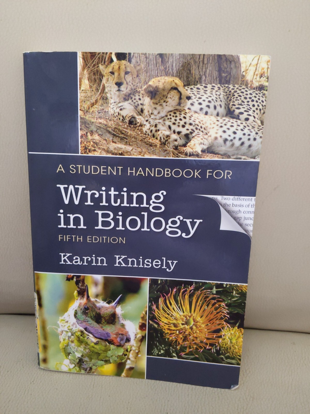 A Student Handbook for Writing in Biology by Karin Knisely (Paperback, 2017)