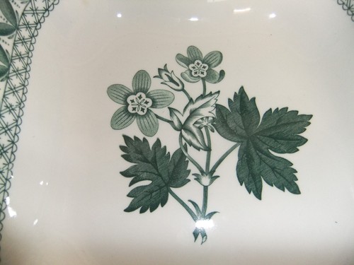 c4 Porcelain Spode Green Geranium (microondas, lavavajillas apto) ÚLTIMOS ARTÍCULOS - R6 - Imagen 3 de 36