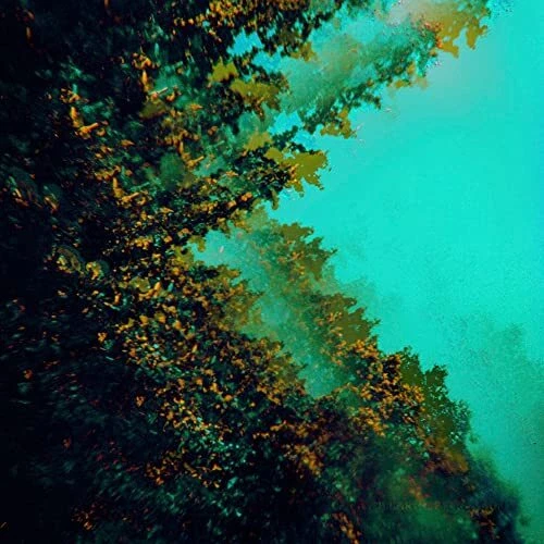 Polymoon Caterpillars of Creation LP Vinyl NEW - Picture 1 of 1