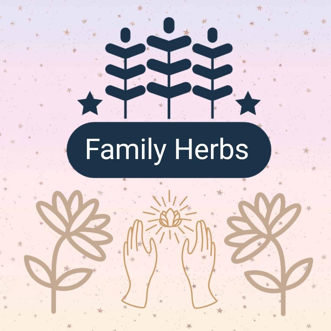 My family herbs Wellness Collection Herbal Ginger Green Tea - 70g