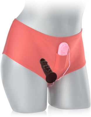 Vibrator mit Slip und Fernbedienung für Anus und Vagina