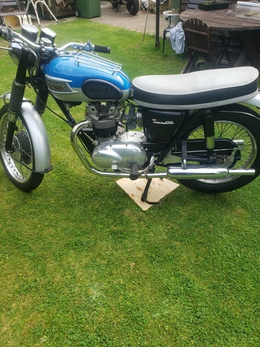 triumph t100ss 1964 - Picture 2 of 14