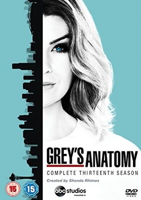 Grey's Anatomy - Season 13 [DVD] - DVD  CJVG The Cheap Fast Free Post