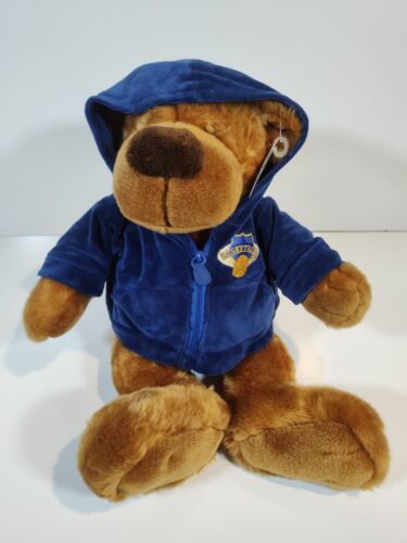 Gund All Stars Basketball Bear Plush Stuffed Animal With Blue Hoodie NWT 19" - Picture 5 of 10