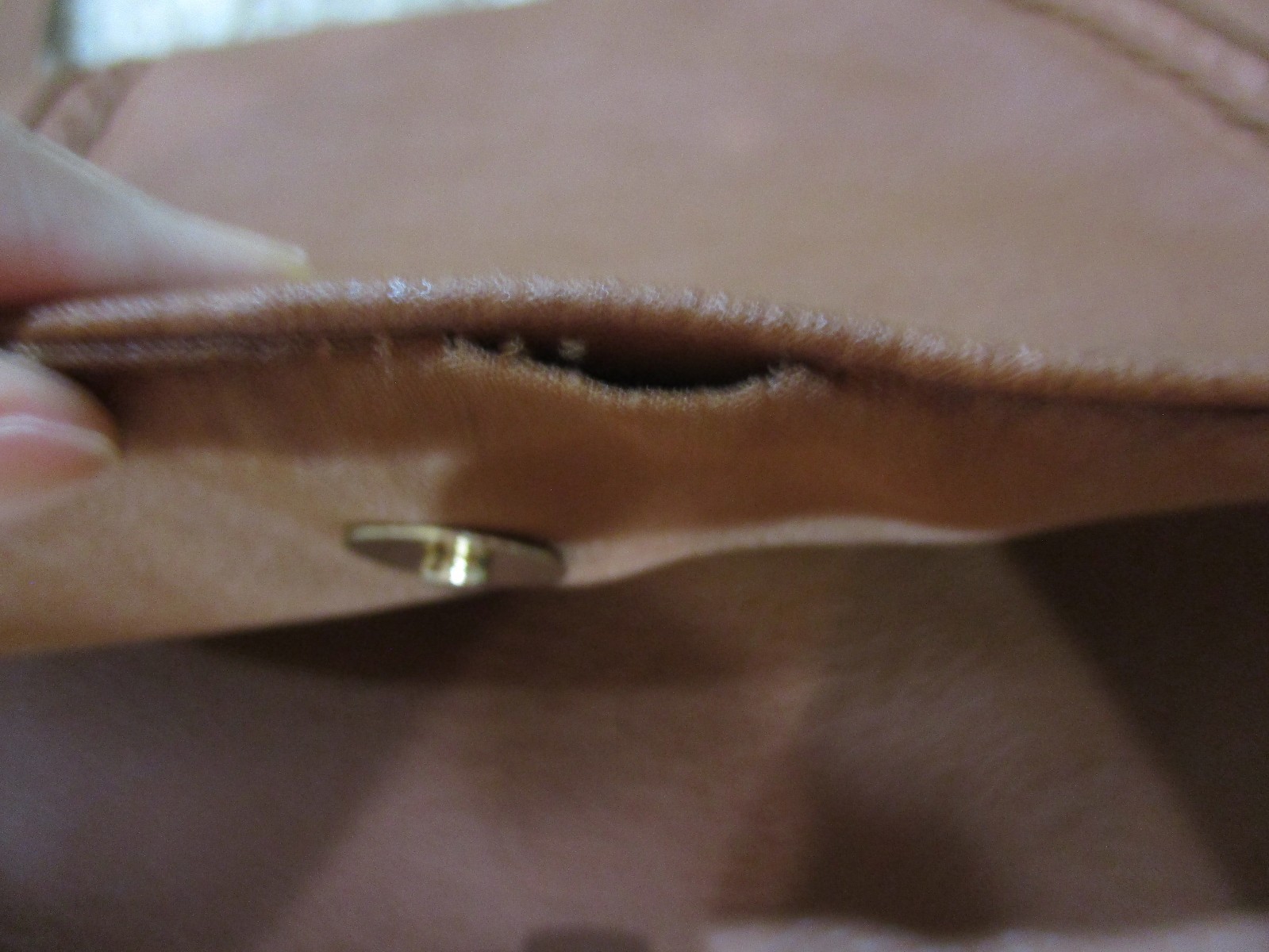 Picture 5 of 5