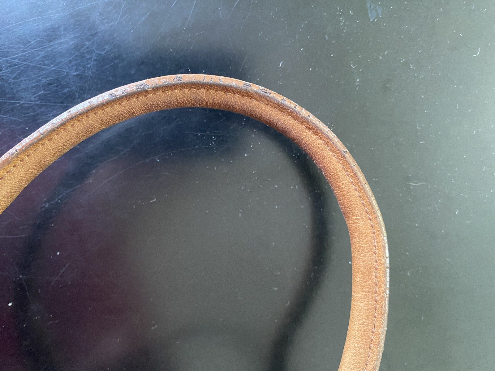 Picture 6 of 15