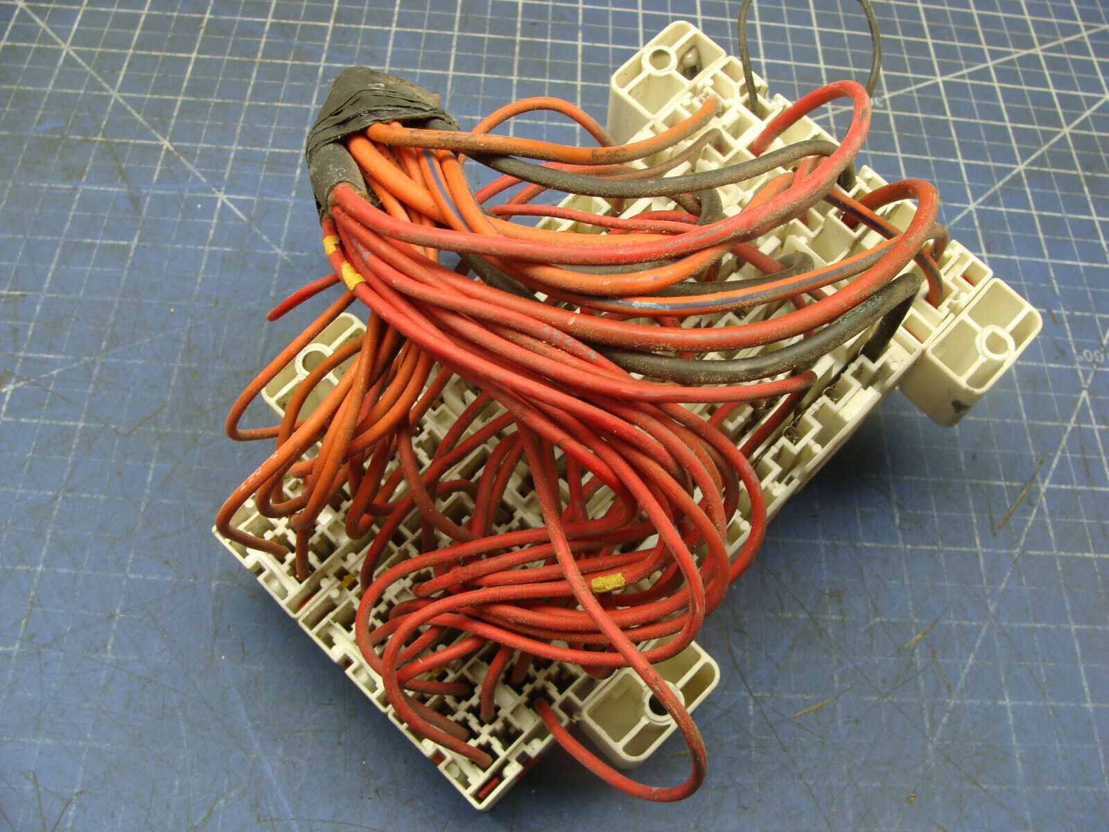 Picture 3 of 6