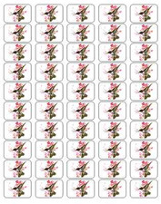50 Hummingbird Envelope Seals / Labels / Stickers, 1" by 1.5"