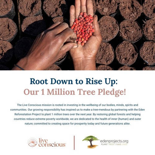 Live Conscious Beyond Brew Mushroom Superfood Coffee Immunity & Smooth Energy++ - Picture 2 of 5