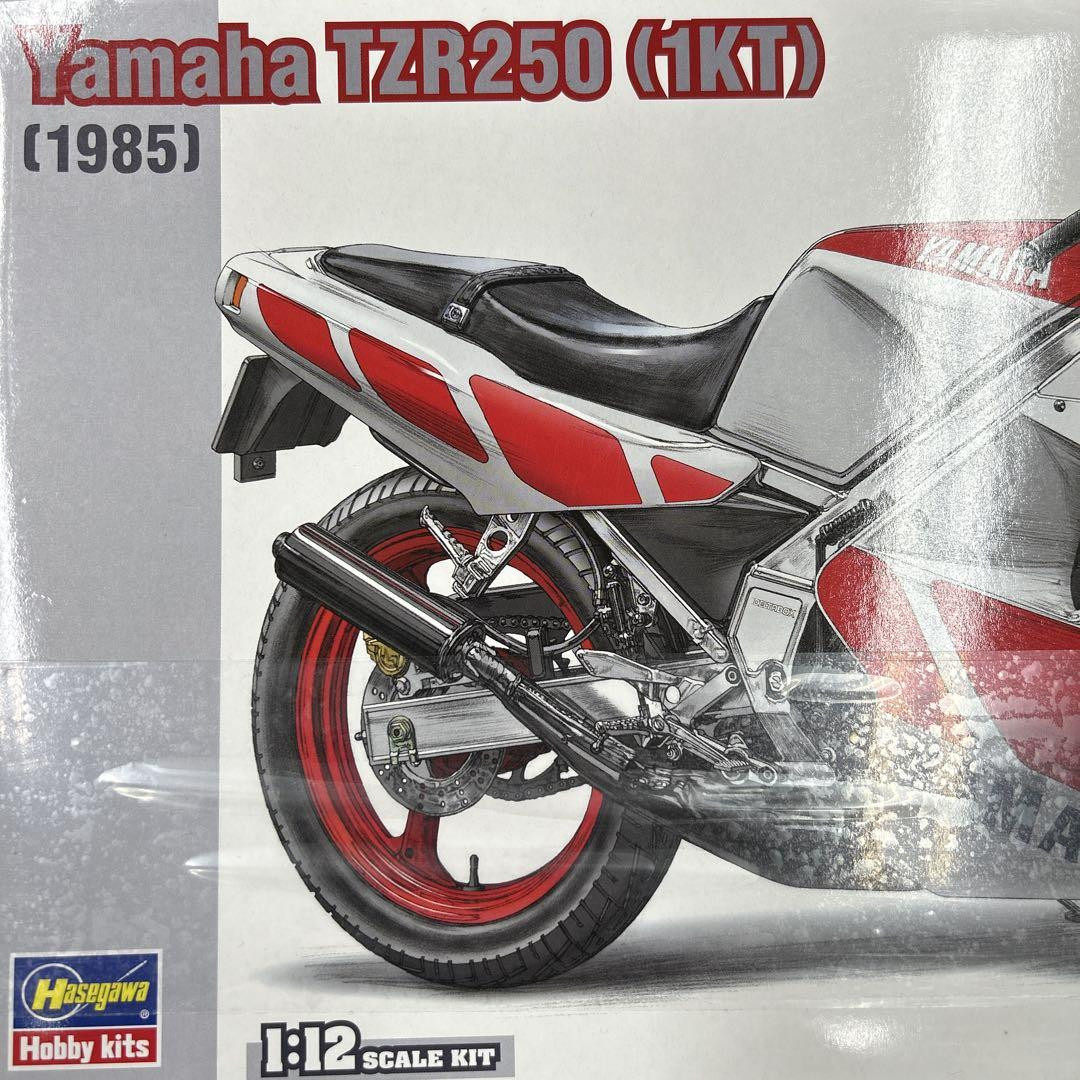 Hasegawa Yamaha TZR250 (1KT) 1985 Yamaha | eBay