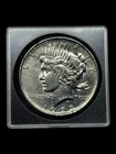 1923 D Peace Silver Dollar, Circulated, Cleaned, See Description. Free Gift!💵