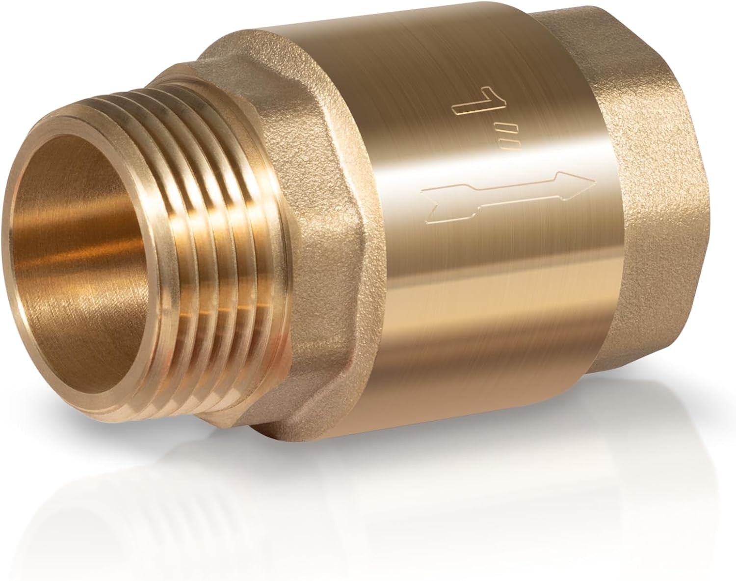 1" NPT One Way Brass Check Valve Female Pipe Thread for Well Pump SP0465X-100