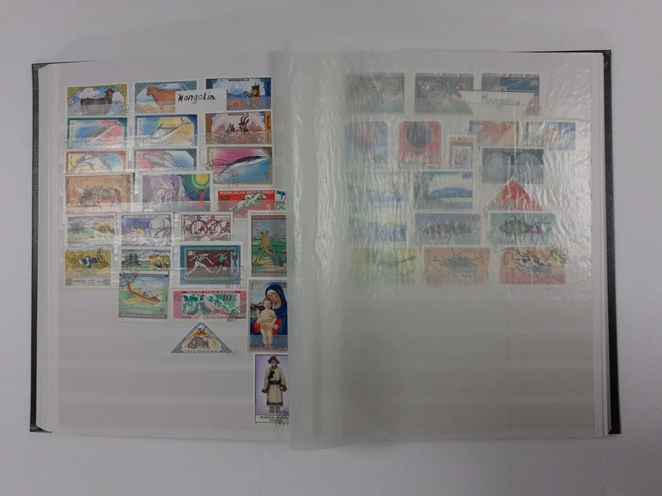 LIBRO DE SELLOS DAVO NERO FF A4 32 PÁGINAS BLANCAS VERDE Foto 4 de 4