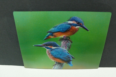 3 D EISVOGEL KÜHLSCHRANK MAGNET FRIDGE MAGNET KINGFISHER BIRD TIER ANIMAL VOGEL