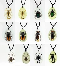 Real Bugs in Large Resin Pendant Necklace. Choice of either clear/colour or glow
