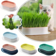Cat Grass Hydroponic Growing Kit: Support Digestion & Boost Feline Health