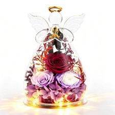 Gifts for Women Preserved Rose in Glass Angel with Warm LED Lights,Flowers fo...