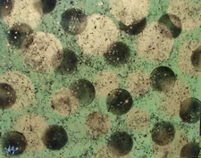 Modernist LARGE ABSTRACT PAINTING Expressionist MODERN Art FLOATERS by FOLTZ