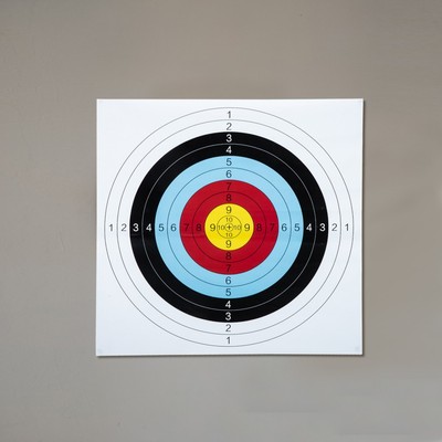  10pcs Shooting Darts Papier Outdoor Papier Zielaufnahmen
