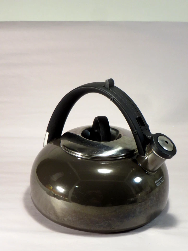 Tetera Cuisinart gris metálico silbido tetera Foto 3 de 4