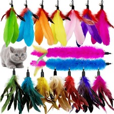 Cat Feather Toys Refill, 16 Pieces Cat Wand Replacement Feathers Toy for Indo...