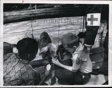1967 Press Photo Franklin Circle School students-Cleveland Zoo visit - cvb11668