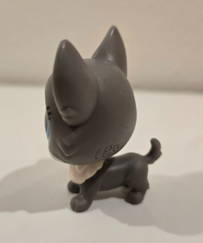 Lps Littlest pet shop Taco Perrito Hungry pets #3-85 grey corgi - Picture 2 of 4