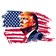 DONALD TRUMP 2024 Design Metal Sign