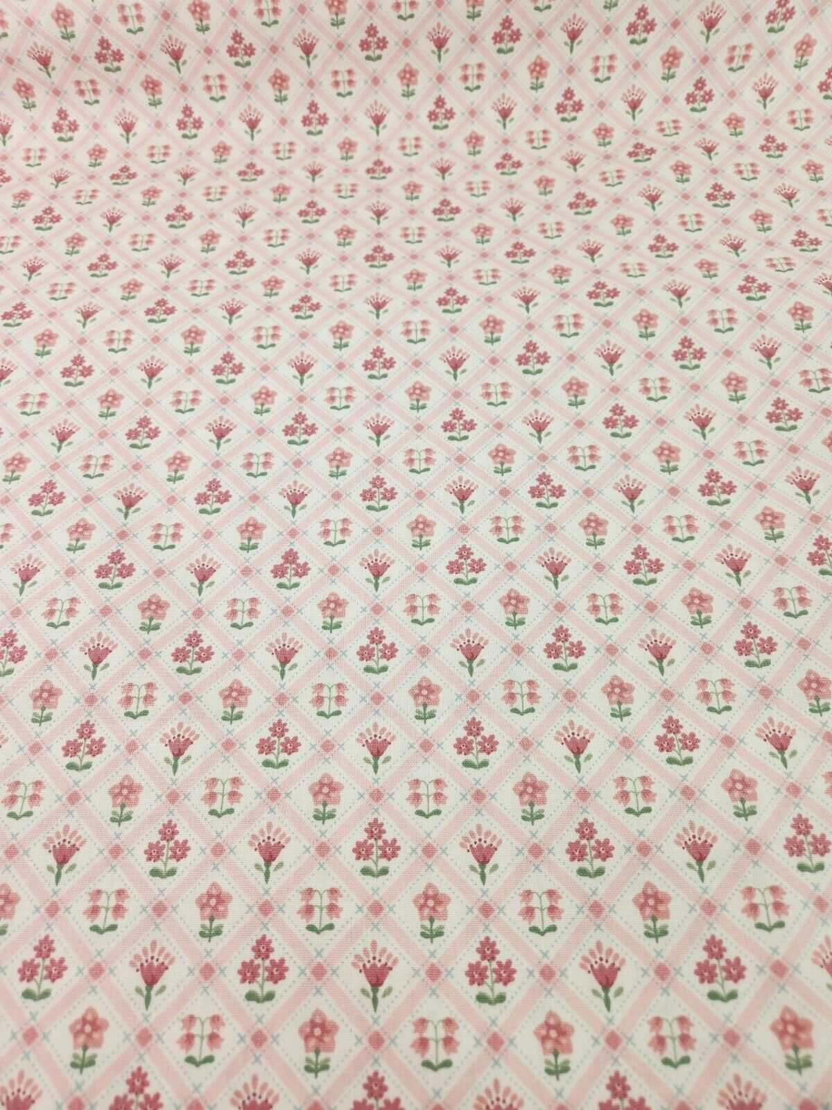 Foto 1 di 5