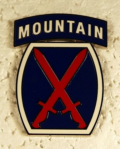 US Army Tenth 10th Mountain Division Combat Service Identification Badge CSIB 